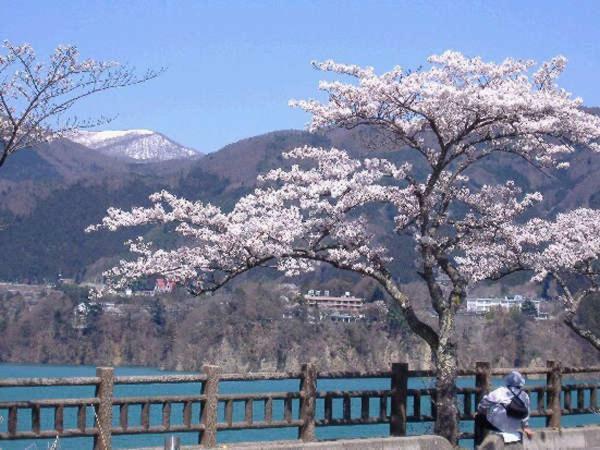 Hotel Kojokaku 片品村 外观 照片